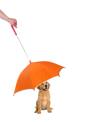 Pour-Protection Umbrella With Reflective Lining And Leash Holder - Pet Totality