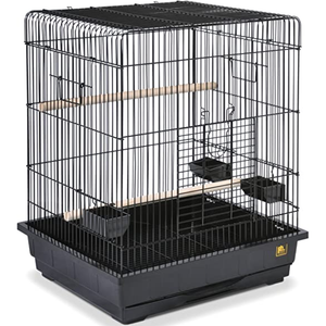 Prevue Pet Products Pre-Packed Square Top Parakeet Or Cockatiel Cages 25X21 2Pc - Pet Totality
