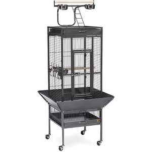 Prevue Pet Products Wrought Iron Select Cage Black 18X18X57In - Pet Totality