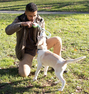 Pull Away' Rope And Tennis Ball - Pet Totality