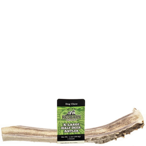 Redbarn Natural Deer Split Antler Dog Treat X-Large - Pet Totality