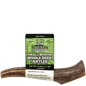 Redbarn Natural Deer Whole Antler Dog Treat Small/Medium - Pet Totality