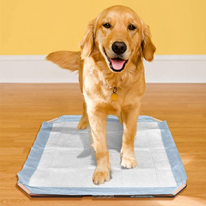 Simple Solution Dog Training Pad Holder, Fits Pads 21 By 21-Inch - Pet Totality