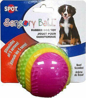 Spot Sensory Ball 3.25In Asstd - Pet Totality