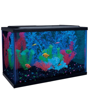 Tetra Glofish Aquarium Kit 5Gal - Pet Totality