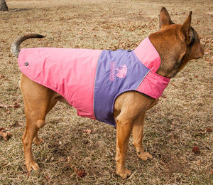 Touchdog Lightening-Shield Waterproof 2-in-1 Convertible Dog Jacket w/ Blackshark technology - Pet Totality