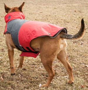 Touchdog Lightening-Shield Waterproof 2-in-1 Convertible Dog Jacket w/ Blackshark technology - Pet Totality