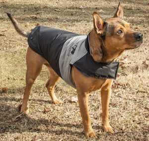 Touchdog Lightening-Shield Waterproof 2-in-1 Convertible Dog Jacket w/ Blackshark technology - Pet Totality