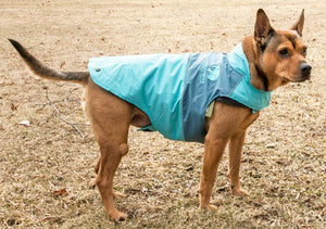 Touchdog Lightening-Shield Waterproof 2-in-1 Convertible Dog Jacket w/ Blackshark technology - Pet Totality