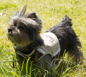 Touchdog Tough-Boutique Adjustable Fashion Dog Harness And Leash - Pet Totality