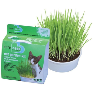 Van Ness Pureness Oat Garden Kit - Pet Totality