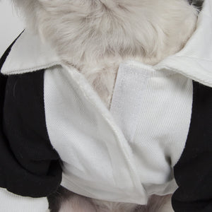 Varsity-Buckled Collared Pet Coat - Pet Totality