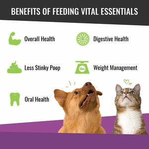 Vital Essentials Fd Vital Cat Chicken Heart Treat 0.8Oz - Pet Totality