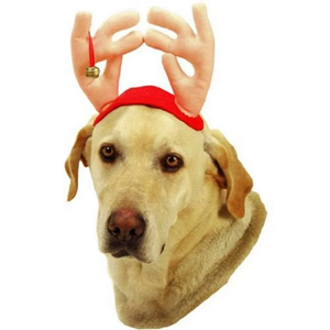 Vo-Toys Plush Reindeer Antlers With Bell For Pets - Pet Totality