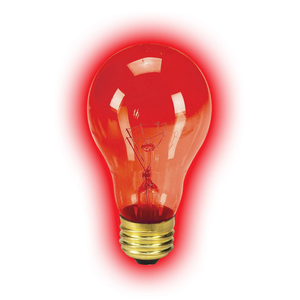 Zilla Incandescent Night Red Heat Bulb 50W - Pet Totality