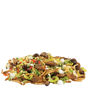Zilla Munchies Omnivore Mix Reptile Food Trial Size .7Oz - Pet Totality