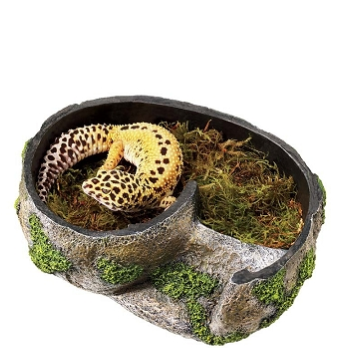 Zilla Rock Lair Medium