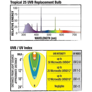 Zilla Tropical Series 25 Fluorescent Coil Bulb 20W - Pet Totality