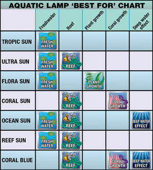 Zml Bulb Reef Sun 50/50 18In - Pet Totality