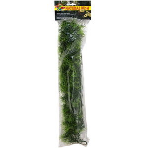 Zoo Med Natural Bush Plants Cahuarina Large - Pet Totality