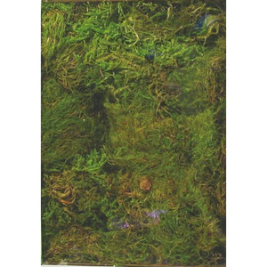 Zoo Med Terrarium Moss 30-40Gal - Pet Totality