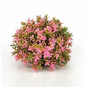 Biorb Flower Ball Pink - Pet Totality