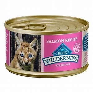 Blue Buffalo Cat  Wilderness  Grain-Free  Kitten  Salmon 3 Oz.. - Pet Totality