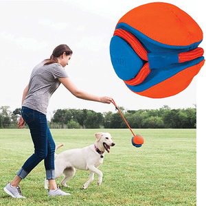 CAN TOY ROPE FETCH - Pet Totality