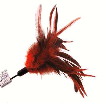 Cats Claw Cat Teaser Starburst Feather Wand 18In