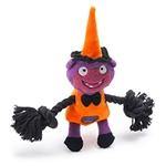 Charming Pet Products Spooky Sliders Dog Toy - Wicked Purple Monster - Pet Totality