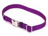 Coastal Adjustable Nylon Collar With Titan Metal Buckle Purple 1X18-26In - Pet Totality