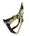 Coastal K9 Explorer 1" Padded Harness  Fern Green  (20-30") - Pet Totality