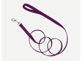 Coastal Single-Ply Nylon Leash Purple 1X4Ft - Pet Totality