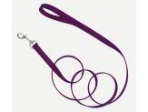 Coastal Single-Ply Nylon Leash Purple 3/4X4Ft - Pet Totality