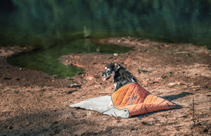 Dog Helios  'Boulder-Trek' 3-in-1 Expandable Surface Outdoor Travel Camping Dog Mat - Pet Totality