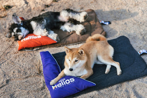 Dog Helios  'Expedition' Sporty Travel Camping Pillow Dog Bed - Pet Totality