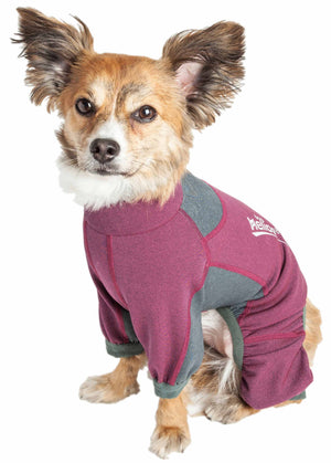 Dog Helios ® 'Rufflex' Mediumweight 4-Way-Stretch Breathable Full Bodied Performance Dog Warmup Track Suit - Pet Totality