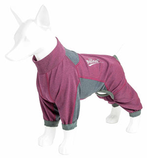 Dog Helios  'Rufflex' Mediumweight 4-Way-Stretch Breathable Full Bodied Performance Dog Warmup Track Suit - Pet Totality