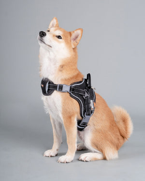 Dog Helios  'Scorpion' Sporty High-Performance Free-Range Dog Harness - Pet Totality