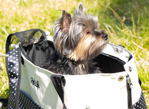 Fashion Tote Spotted Pet Carrier - Pet Totality