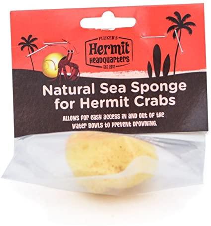 Flukers Hermit Crab Natural Sea Sponge