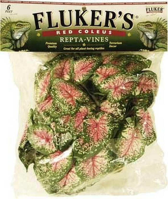 Fluker'S Repta-Vines Red Coleus 6Ft