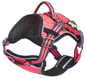 Helios Dog Chest Compression Pet Harness and Leash Combo - Pet Totality
