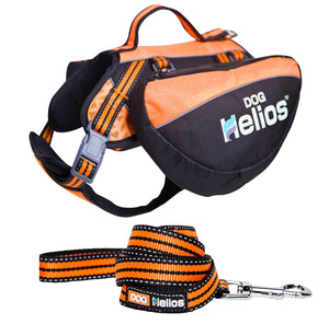 Helios Freestyle 3-in-1 Explorer Convertible Backpack, Harness and Leash - Pet Totality