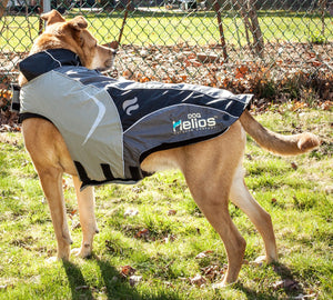 Helios Lotus-Rusher Waterproof 2-in-1 Convertible Dog Jacket w/ Blackshark technology - Pet Totality