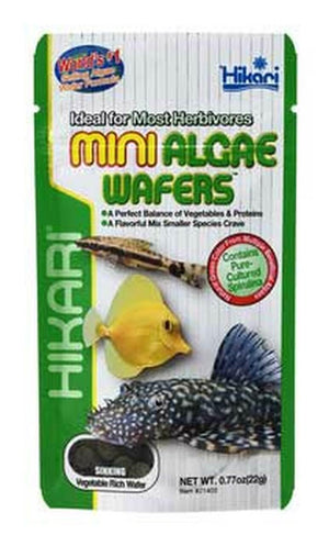 Hikari Algae Wafers Sinking Wafer Fish Food Mini .77Oz - Pet Totality