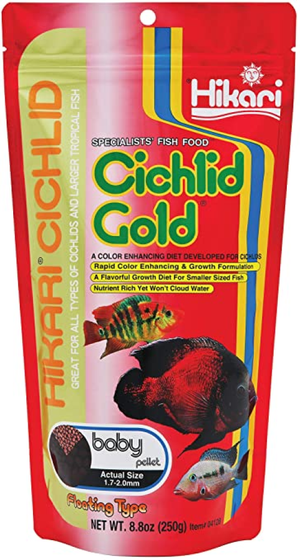 Hikari Cichlid Gold Pellet Fish Food Mini 8.8Oz - Pet Totality