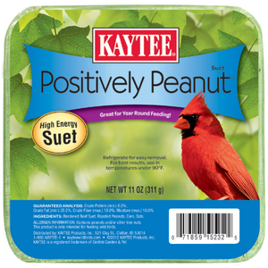 Kaytee Positively Peanut Suet 11Oz - Pet Totality