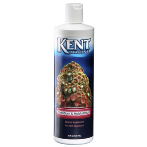 Kent Supplement Strontium/Moly 16 Oz. - Pet Totality