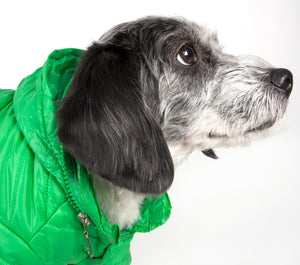Lightweight Adjustable 'Sporty Avalanche' Pet Coat - Pet Totality